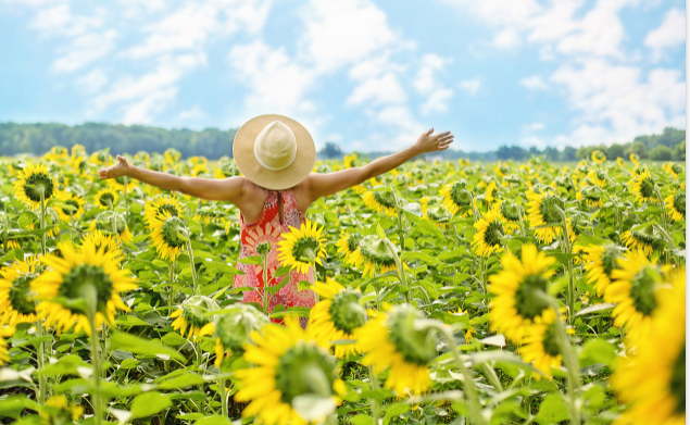 Finding Your Happiness